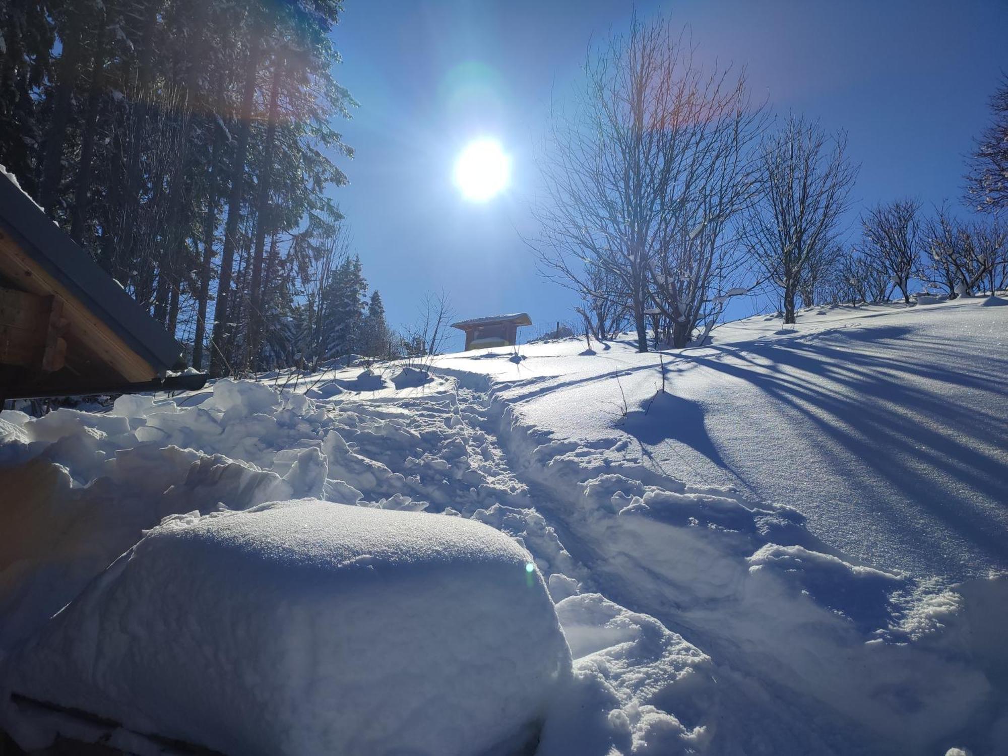 Nature Living Koralm - Neue Chalets Auf Der Koralpe Im Schi- Und Wanderparadies Sankt Stefan im Lavanttal Екстериор снимка
